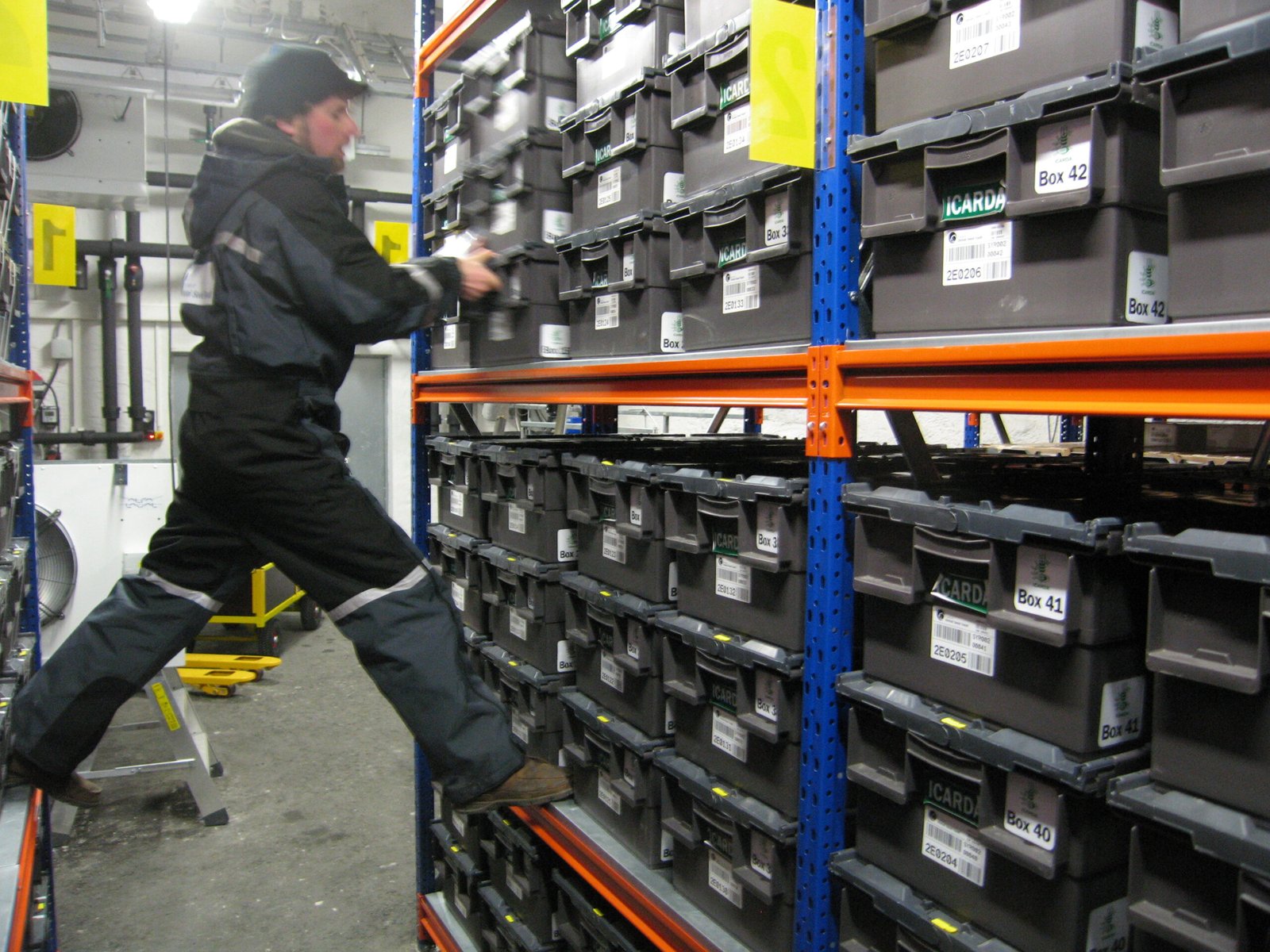 Seeds and Genebanks (image credits: wikimedia)
