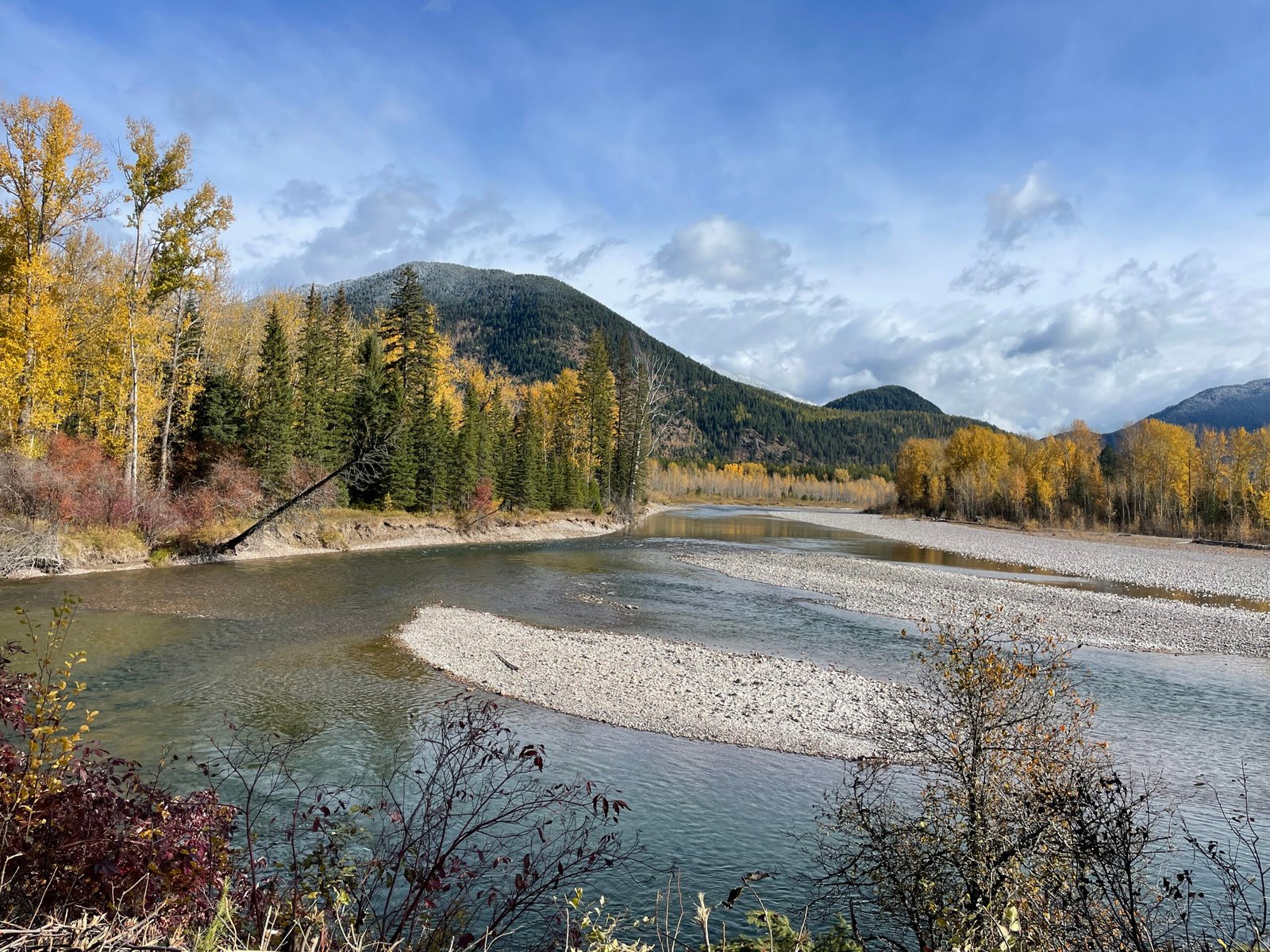 The Role of Protected Areas: More Than Just Preservation (image credits: wikimedia)