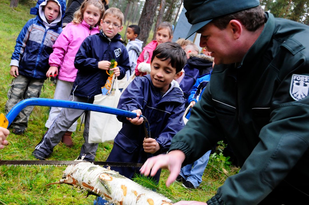 Education and Awareness: Teaching the Next Generation (image credits: wikimedia)