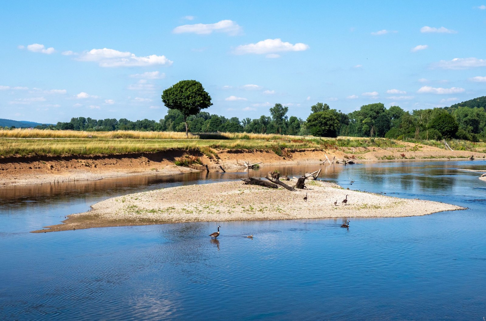 The Ripple Effect: Lessons for the World (image credits: wikimedia)