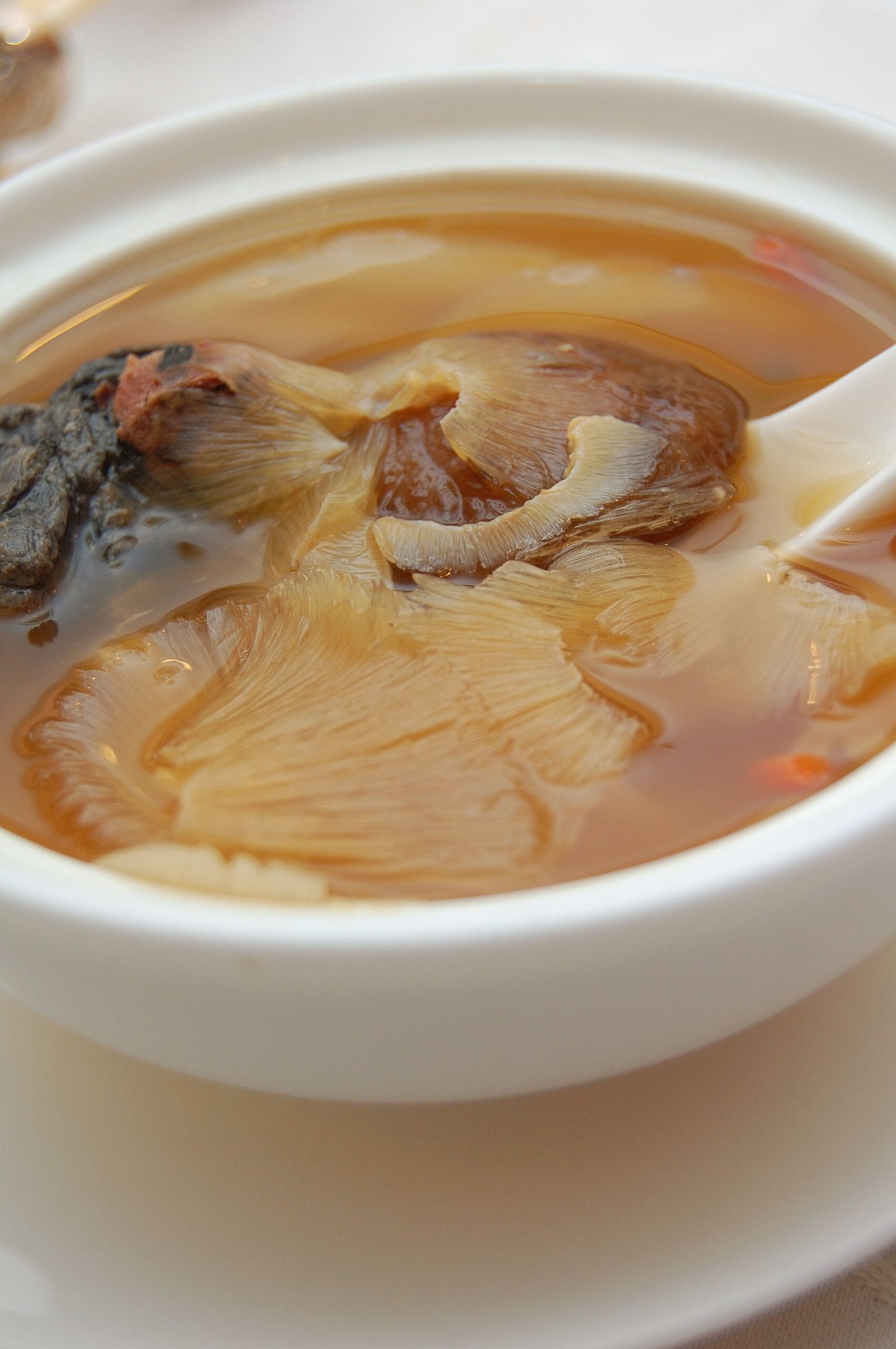 The History of Shark Fin Consumption (image credits: wikimedia)