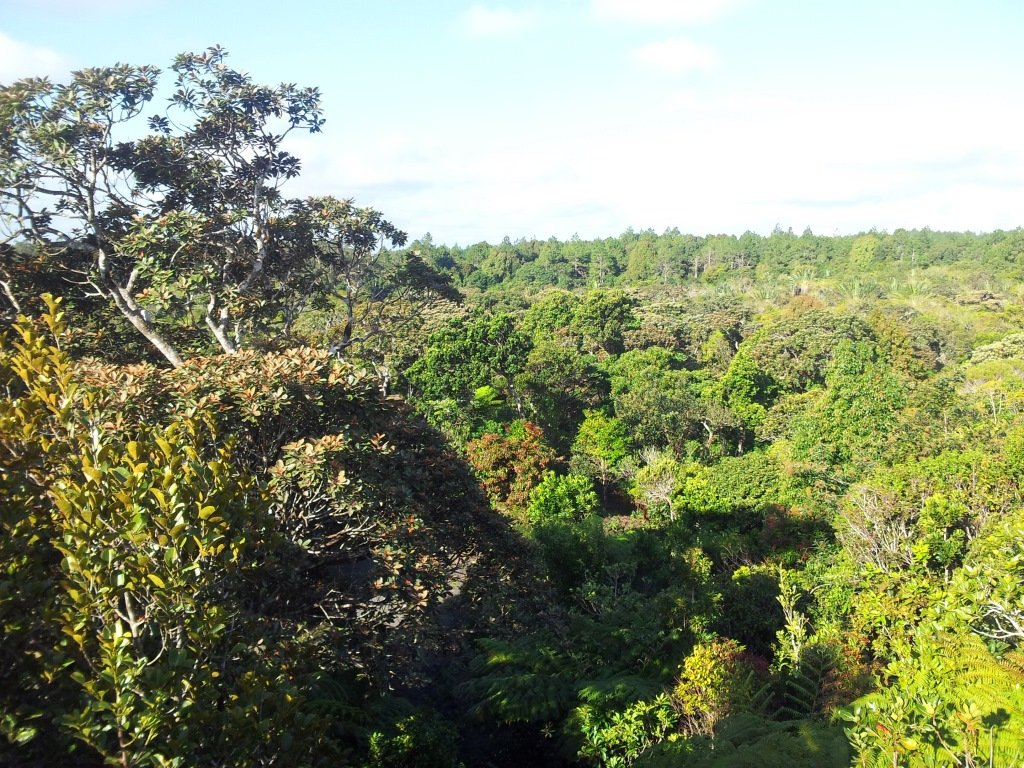 Ecological Wisdom and Balance (image credits: wikimedia)