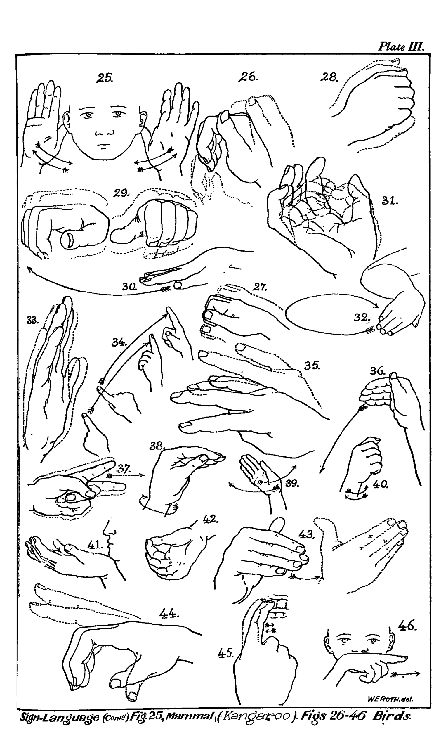 Languages of Gesture and Sign (image credits: wikimedia)