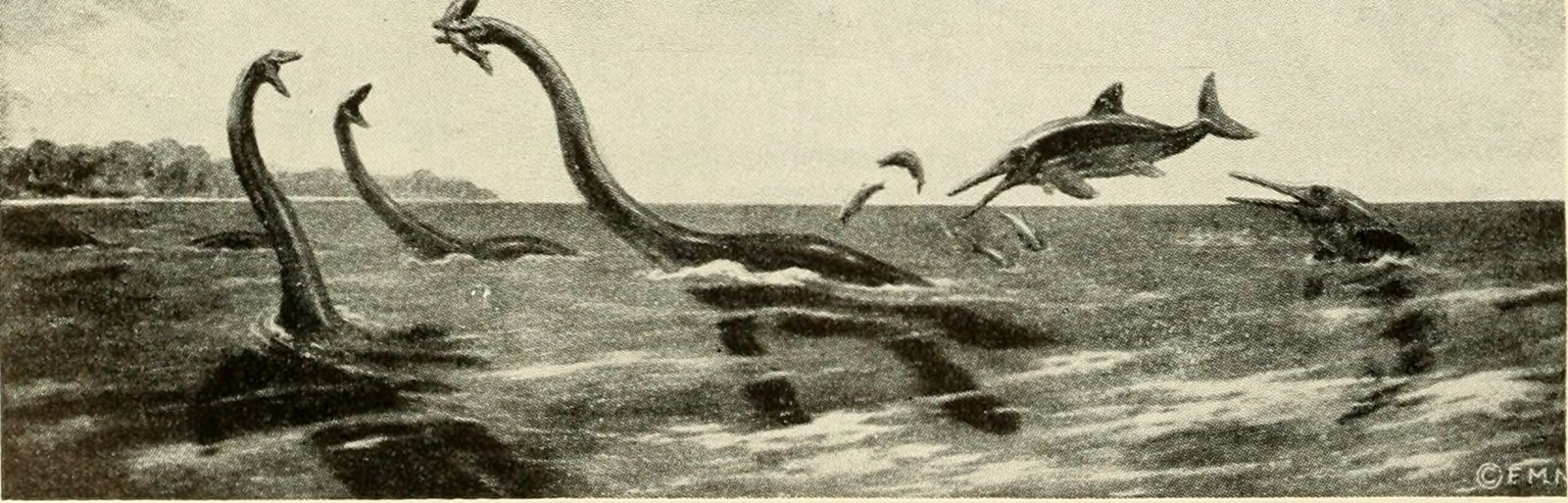Why Ancient Fish Matter More Than Dinosaurs (image credits: wikimedia)