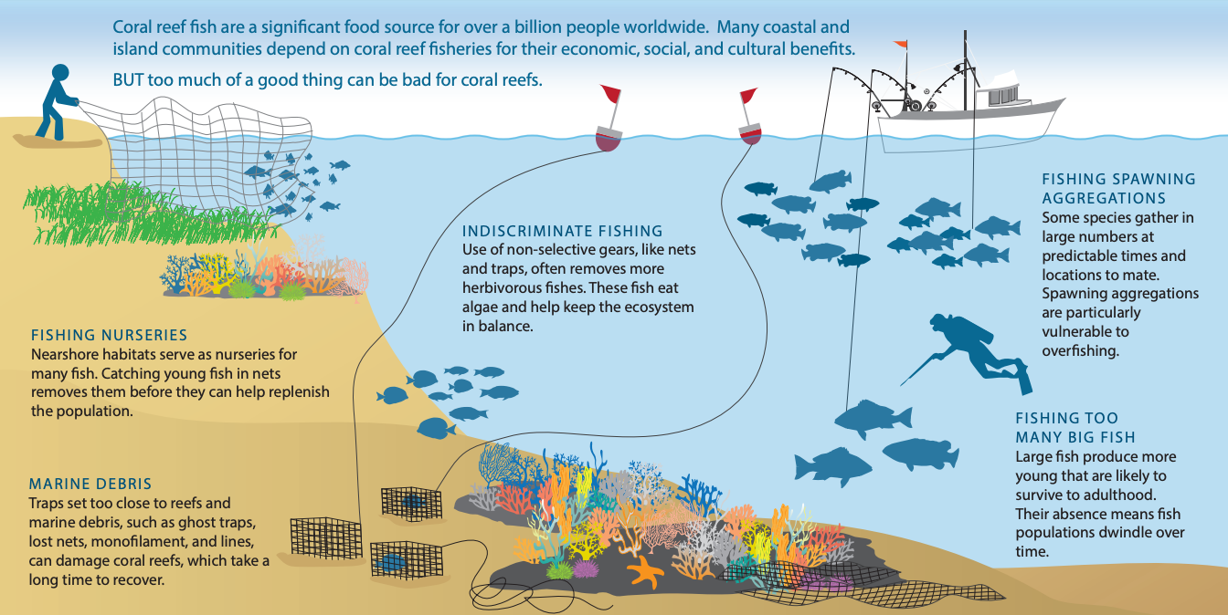 Disruption of Ocean Currents and Nutrient Cycling (image credits: wikimedia)