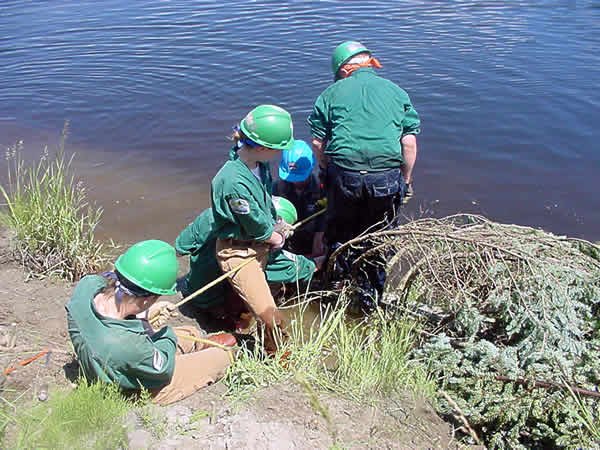 Cleaning Up Our Rivers: A New Beginning (image credits: wikimedia)
