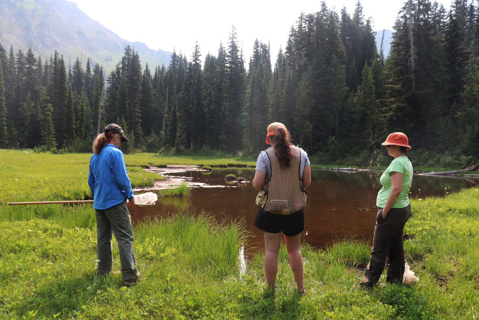 Citizen Science: Everyone Can Make a Difference (image credits: wikimedia)