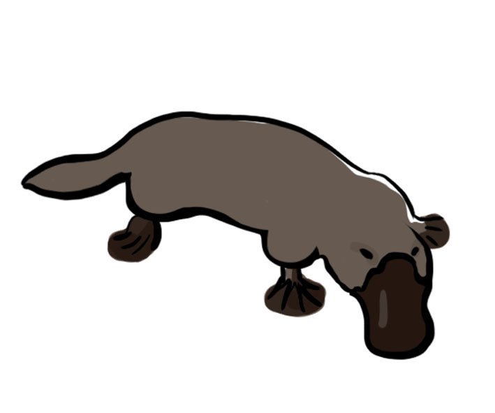 Platypus in Popular Culture: The Star of Its Own Story (image credits: wikimedia)