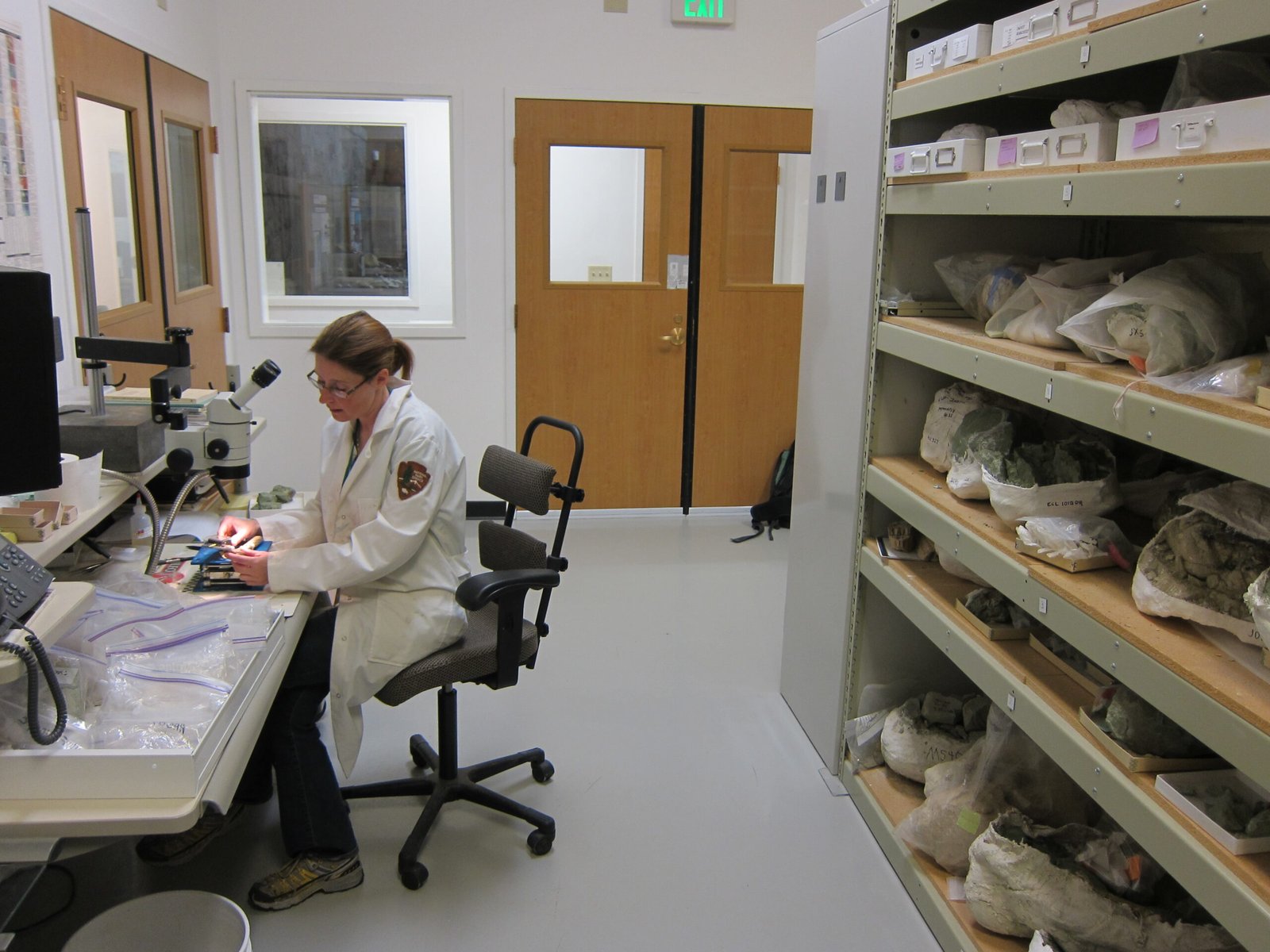 Cutting-Edge Technology: Modern Tools Meet Ancient Bones (image credits: wikimedia)