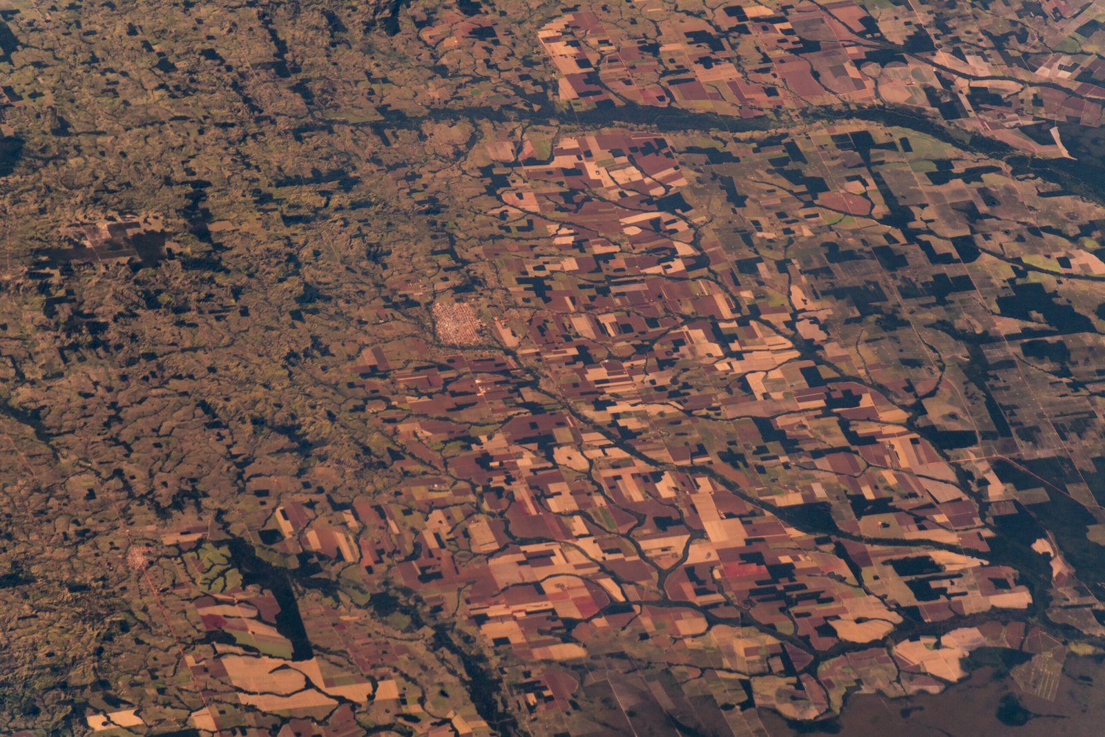 The Global Impact of Amazon Discoveries (image credits: wikimedia)