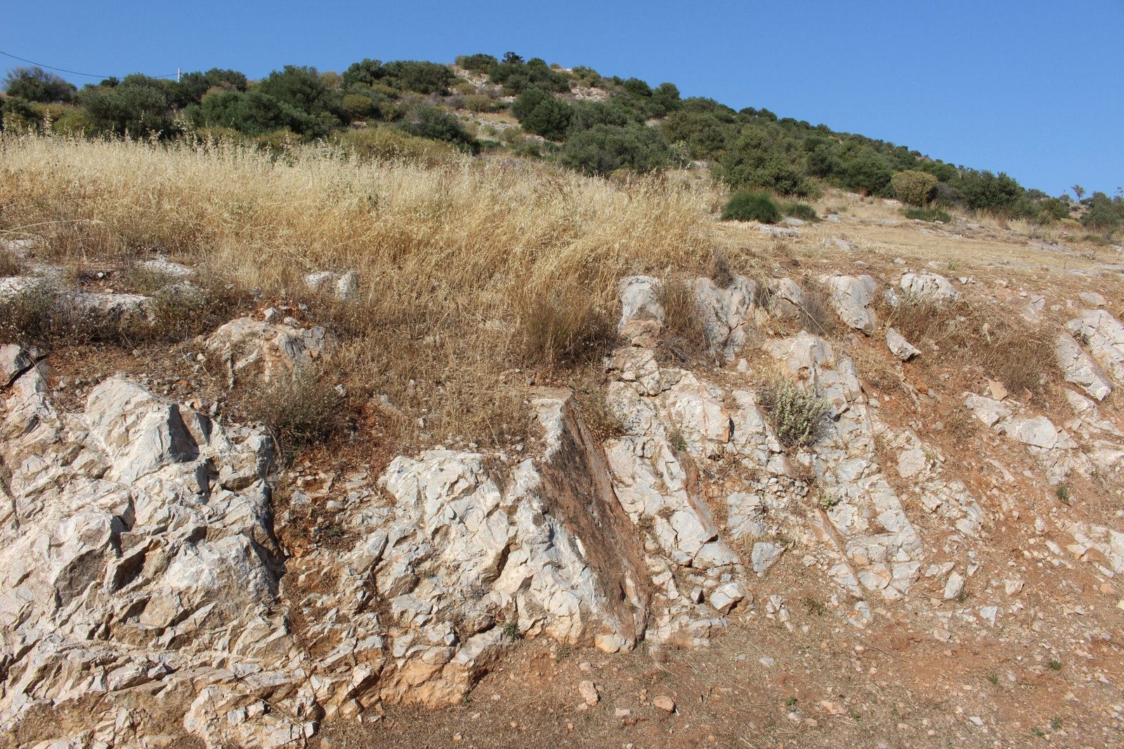 The Evolving Landscape: How Earthquakes Shaped Athens’ Topography (image credits: wikimedia)