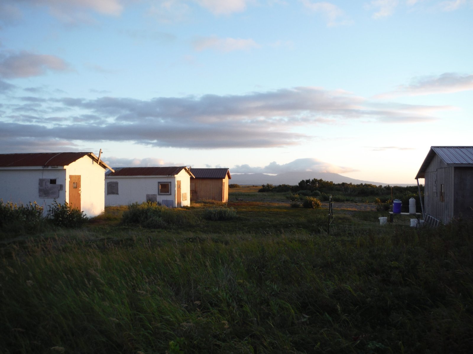 Folk Wisdom: The Knowledge Beneath the Radar (image credits: wikimedia)