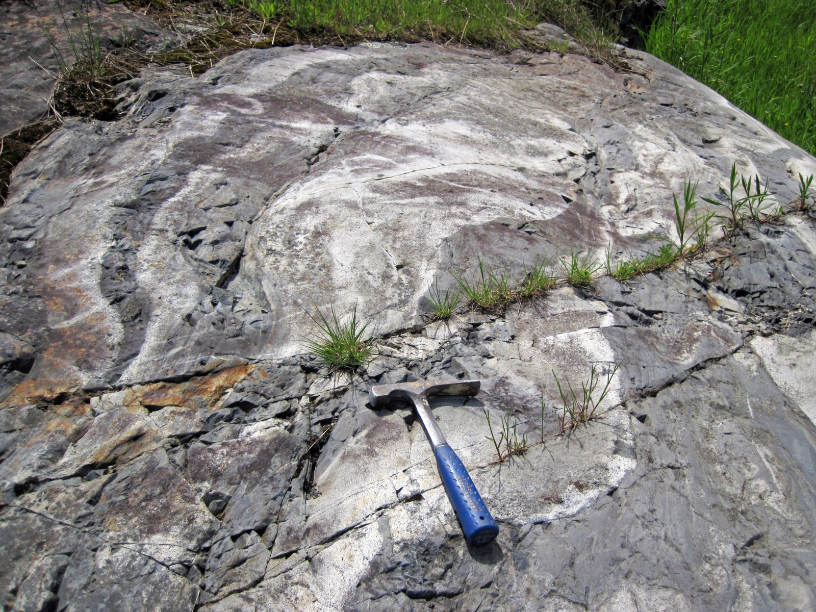 The Role of Sandstone in Shaping the Harbour (image credits: wikimedia)