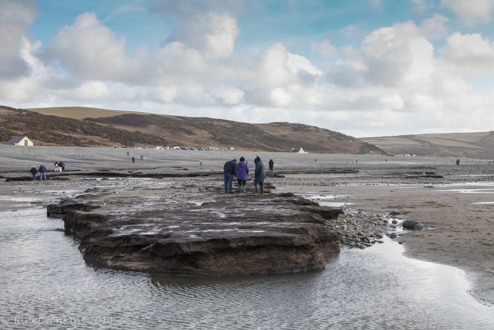 The Mystery of Submerged Forests (image credits: wikimedia)