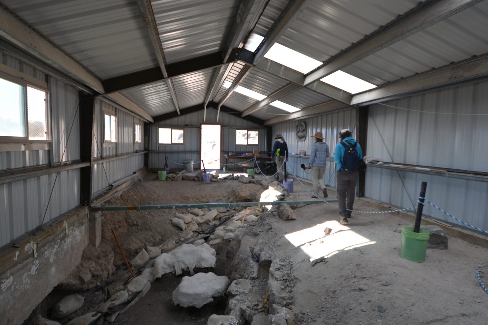 The Science of Digging: How Fossils Are Uncovered (image credits: wikimedia)