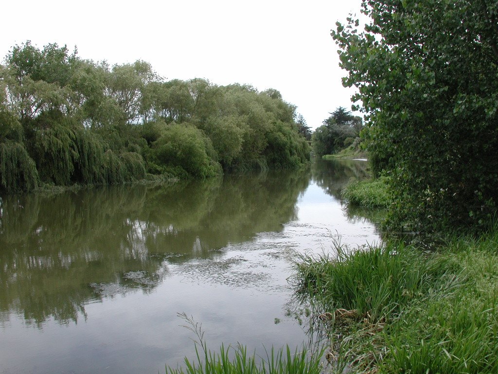 The Timeless Rivers of Palmerston North (image credits: wikimedia)