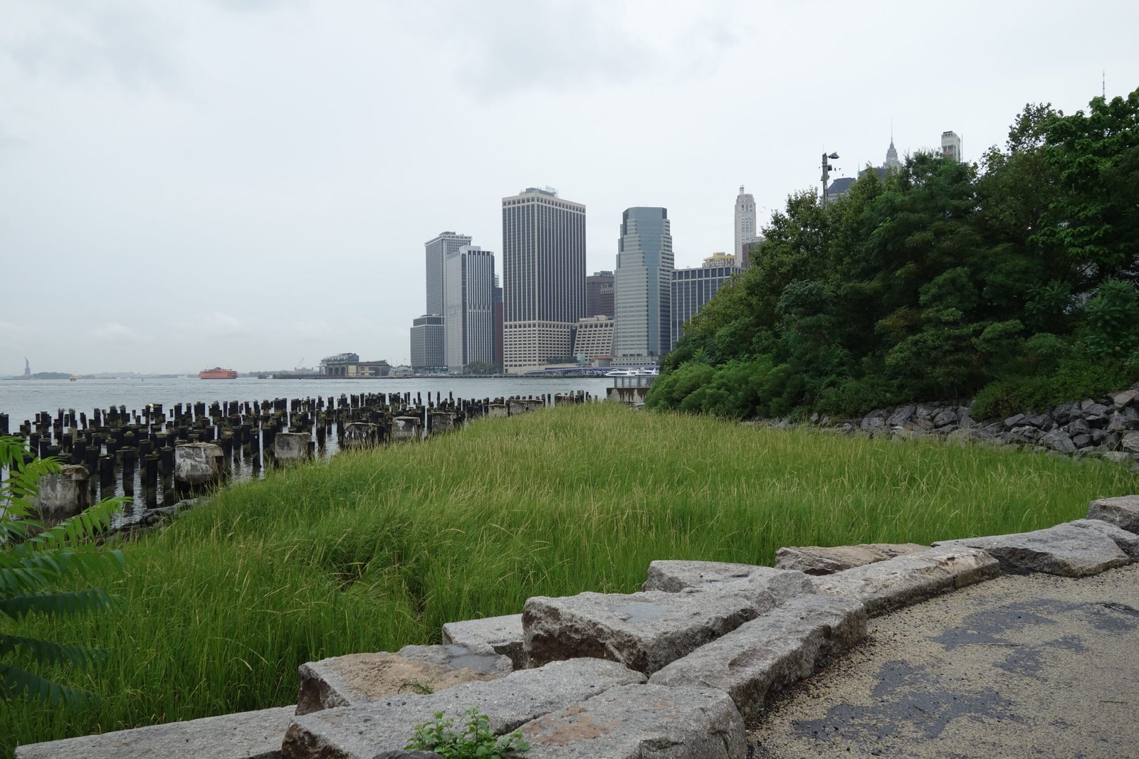 The Forgotten Wetlands of Manhattan (image credits: wikimedia)