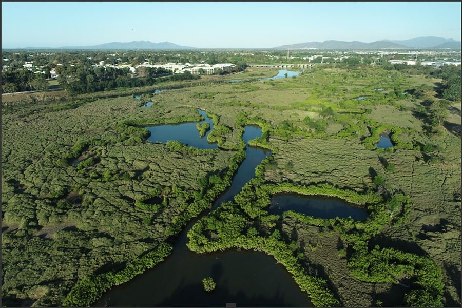 The Swamp That Shaped the City’s Foundations (image credits: wikimedia)