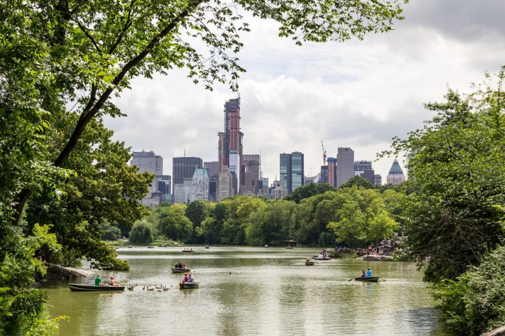 New York’s Buried Forest: The Ancient Swamp Beneath the Skyscrapers