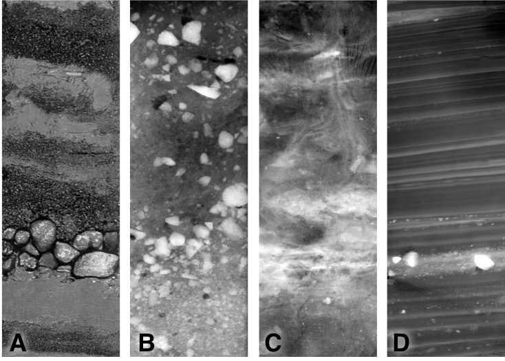 Ancient Sediments: A Window Into the Past (image credits: wikimedia)