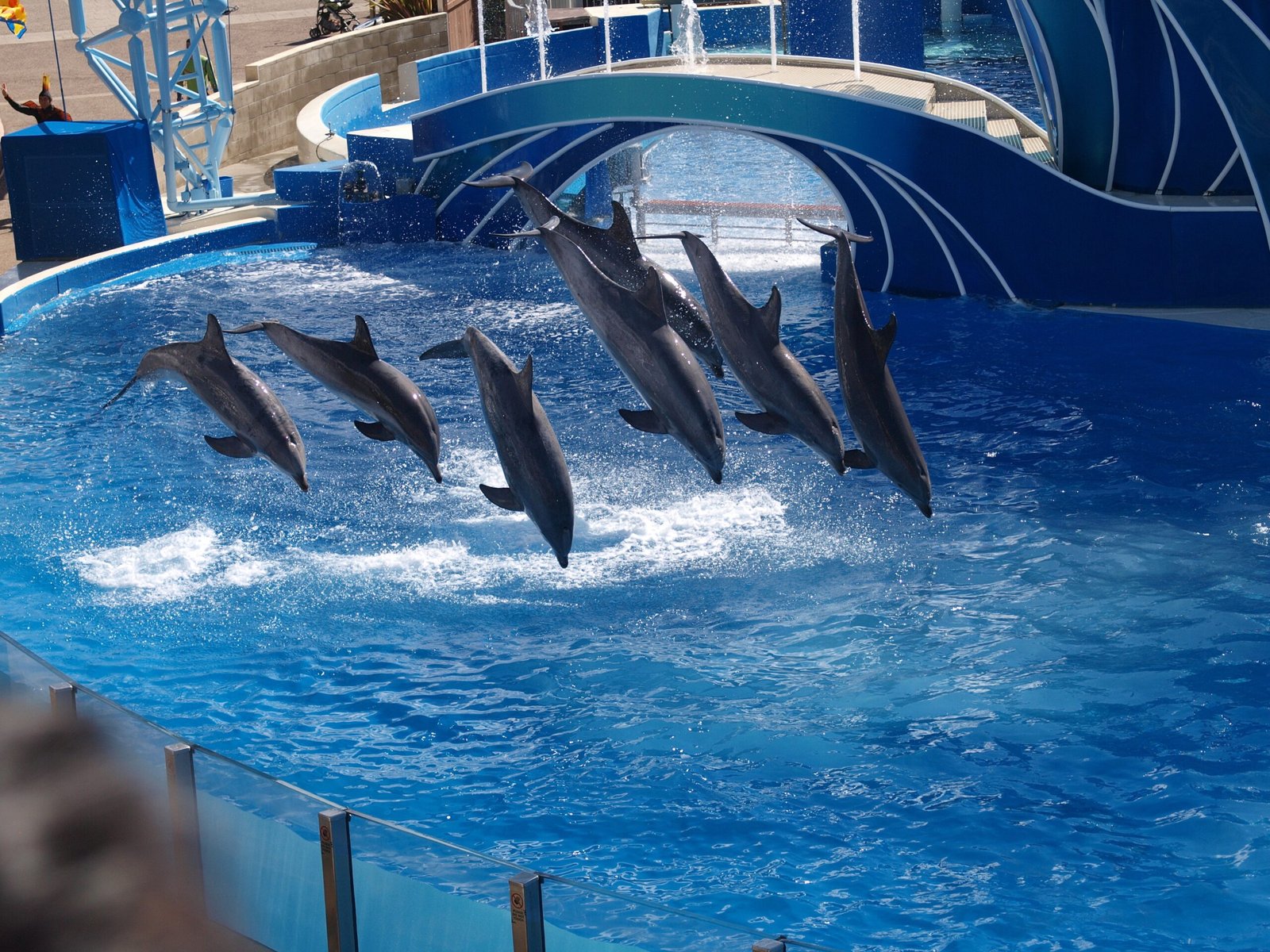 The Psychological Toll of Captivity (image credits: wikimedia)