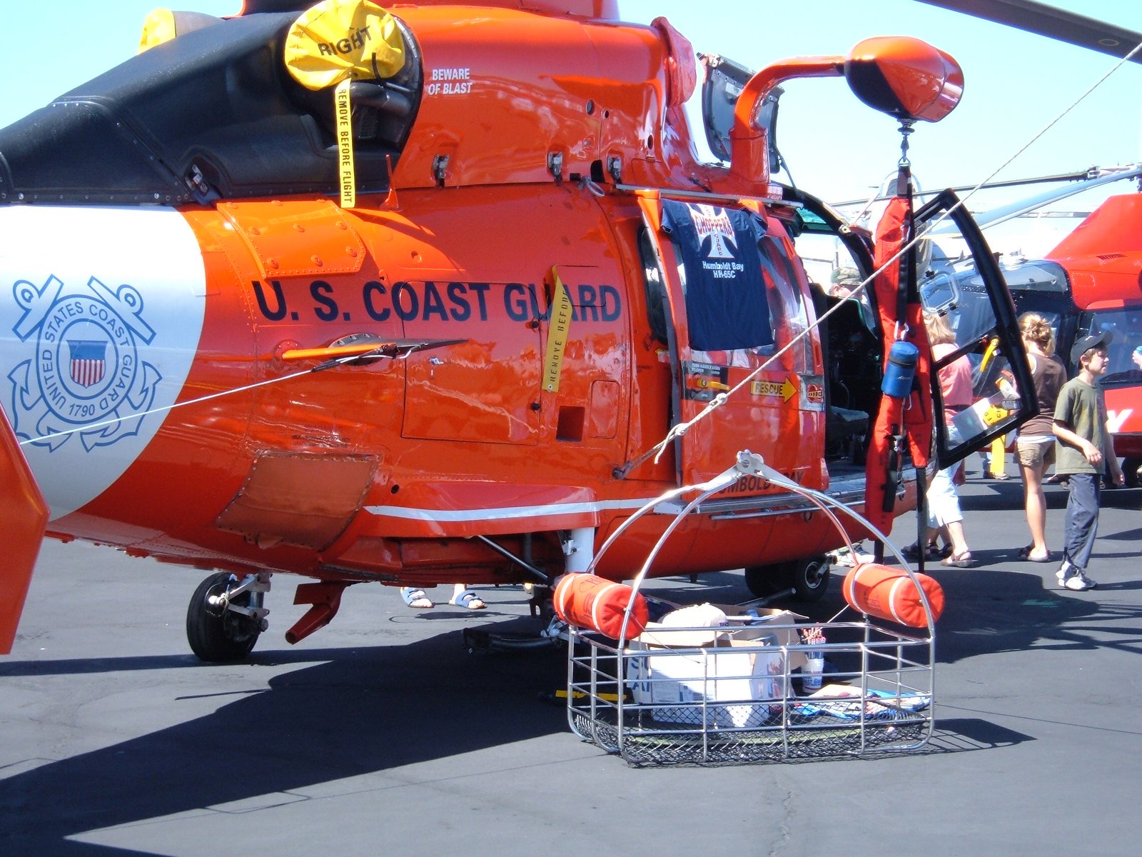 Efforts to Rescue and Rehabilitate Dolphins (image credits: wikimedia)