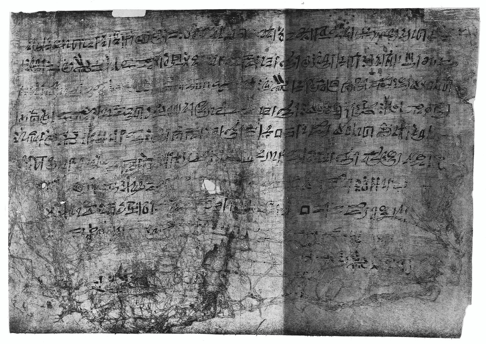 Egypt’s Verdant Apothecaries (image credits: wikimedia)