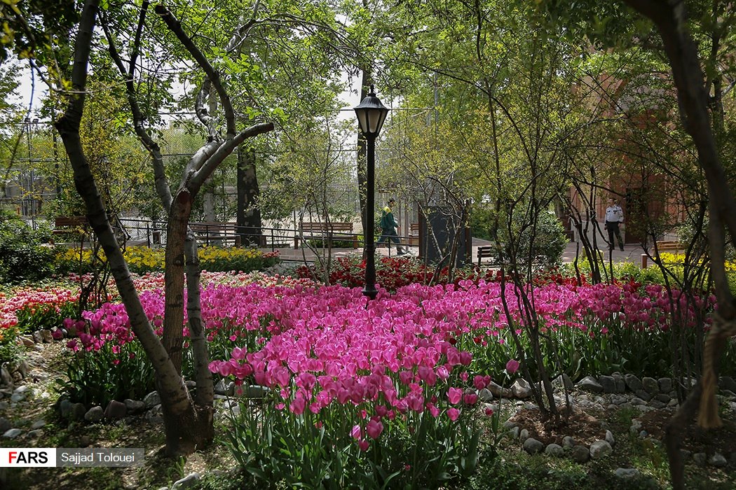 Persian Paradise Gardens (image credits: wikimedia)