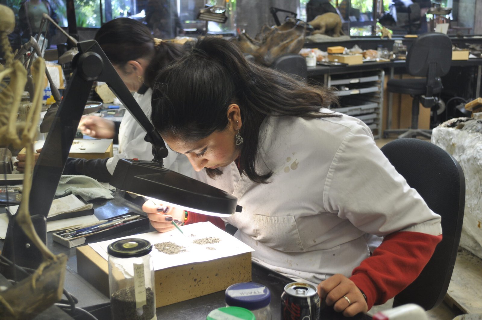 Modern Science Meets Ancient Mysteries (image credits: wikimedia)