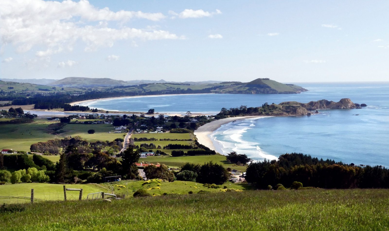 The Call of Dunedin: What Will You Discover? (image credits: wikimedia)