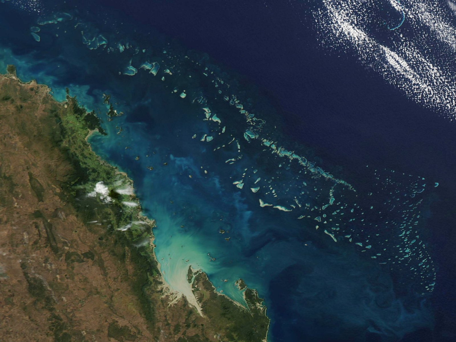 Ocean Acidification: Silencing the Weather Makers (image credits: wikimedia)