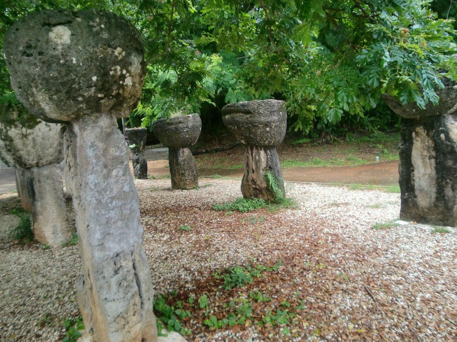 Spiritual Significance and Ancestral Connections (image credits: wikimedia)