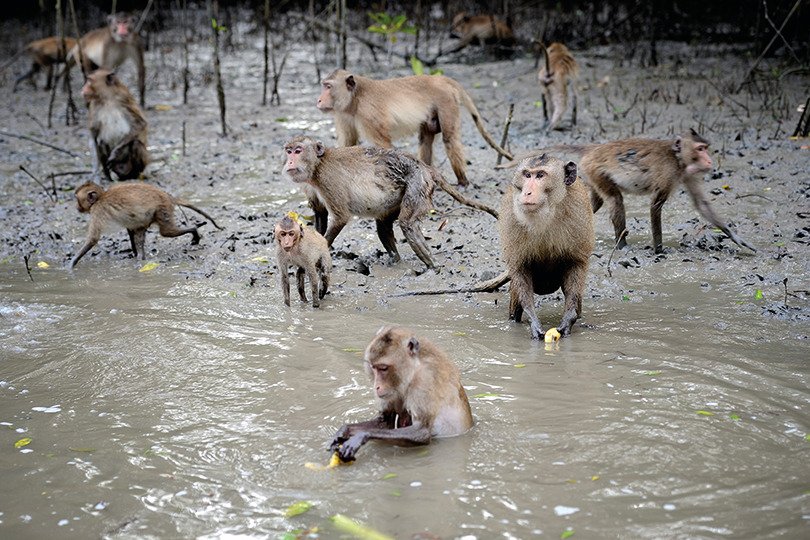 A Refuge for Wildlife (image credits: wikimedia)