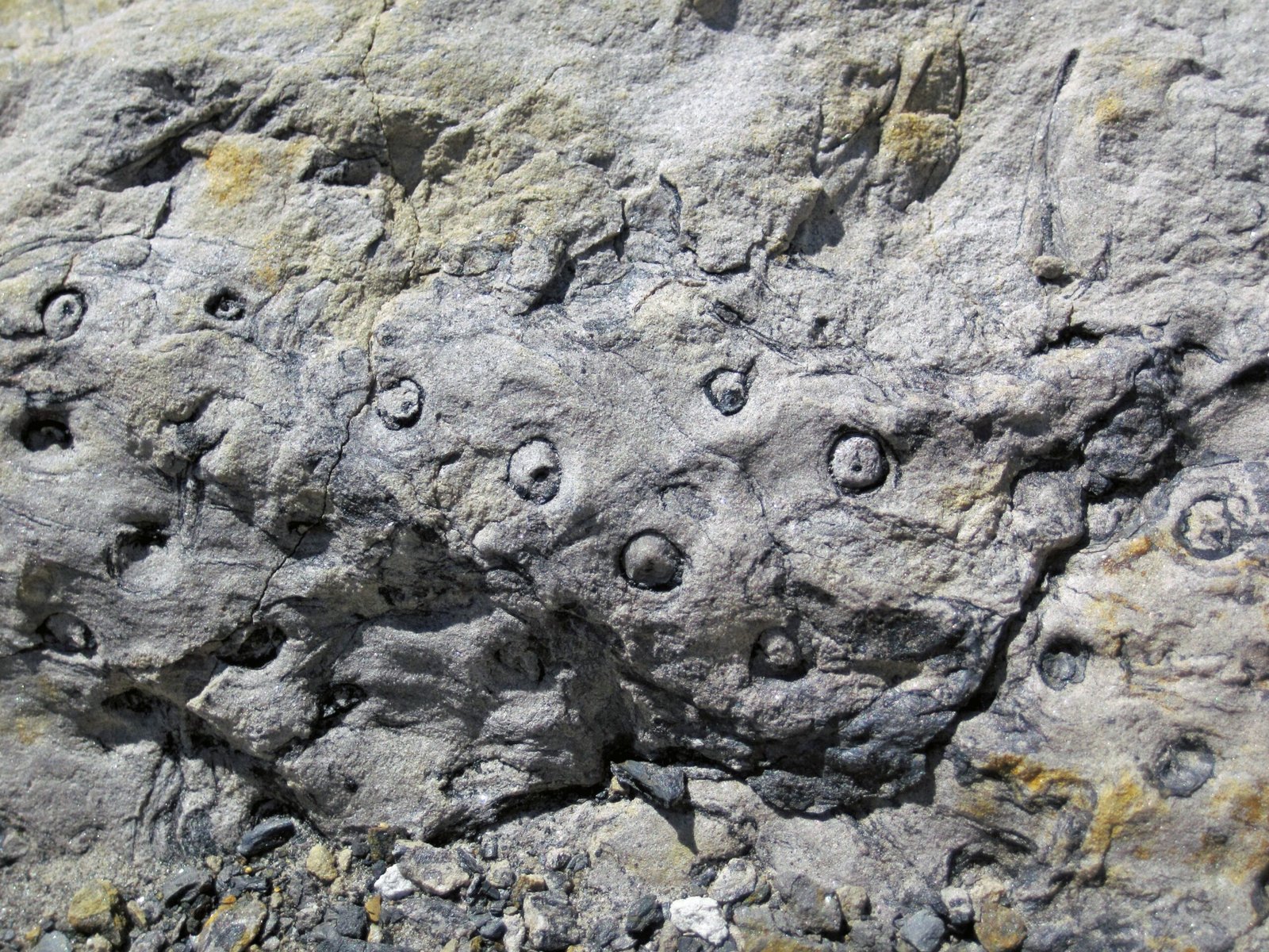 A Lost World Buried Beneath Our Feet (image credits: wikimedia)