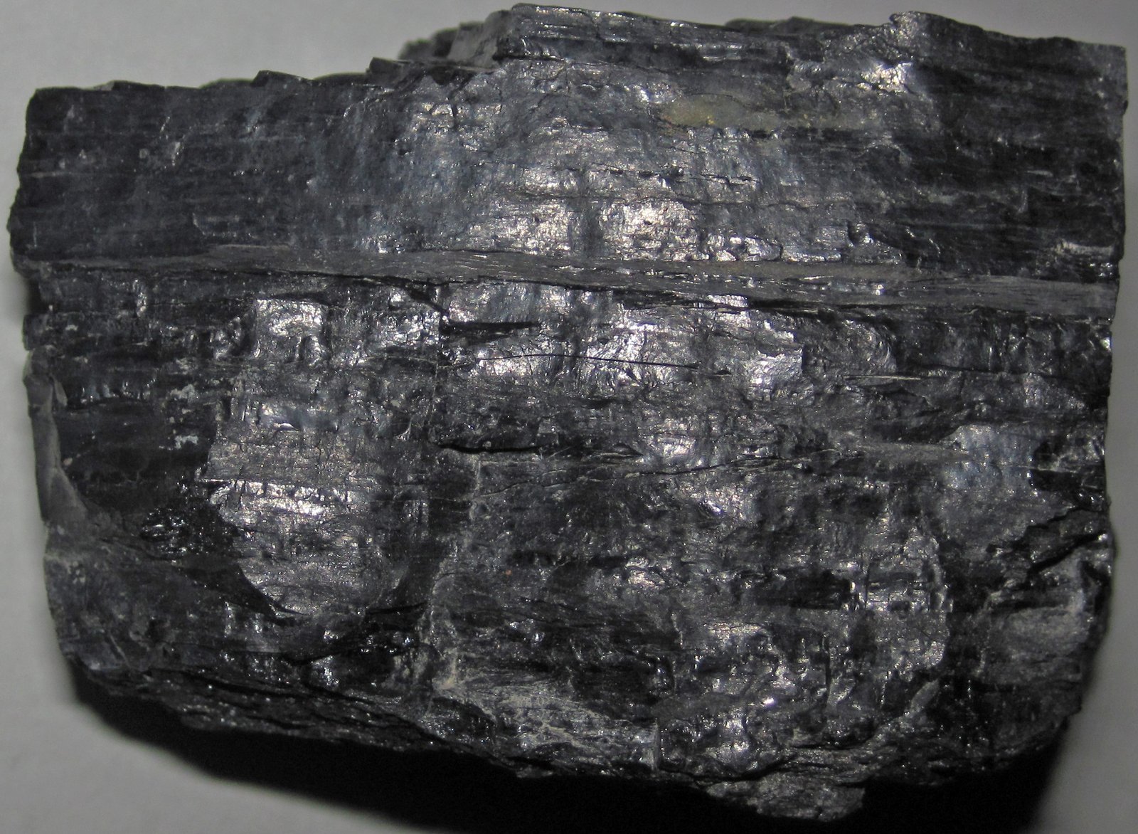 How Coal Formed: Nature’s Slow Alchemy (image credits: wikimedia)