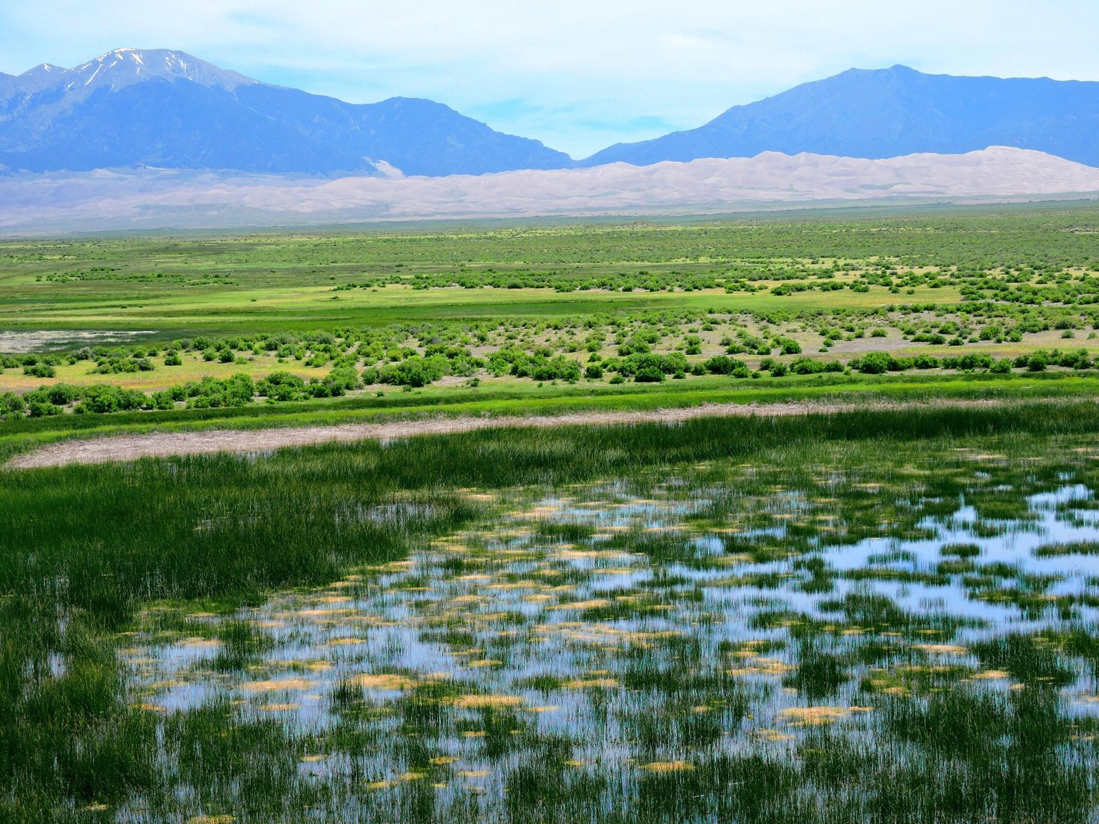 Why Wollongong Matters: A Global Perspective (image credits: wikimedia)