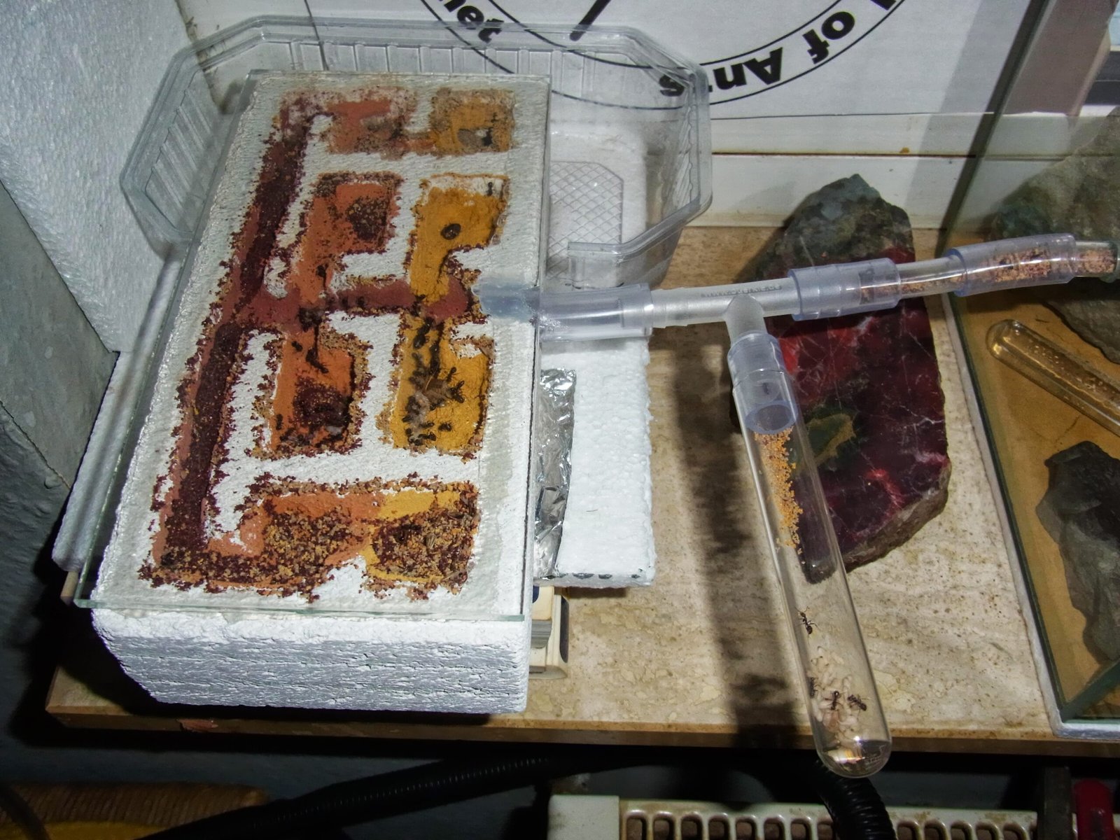 Food Storage and Farming (image credits: wikimedia)