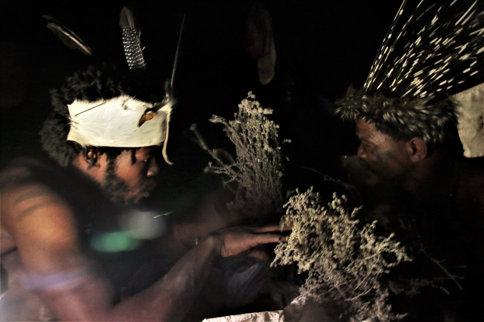 Community Healers: The Backbone of Rural Medicine (image credits: wikimedia)