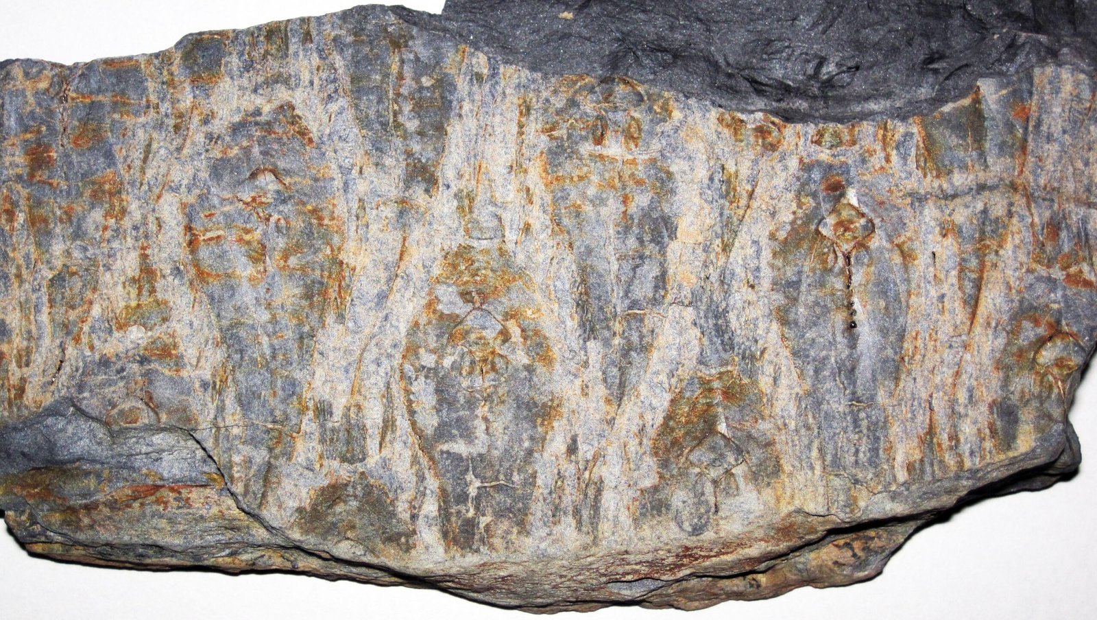 The Emotional Impact of Unearthing Deep Time (image credits: wikimedia)