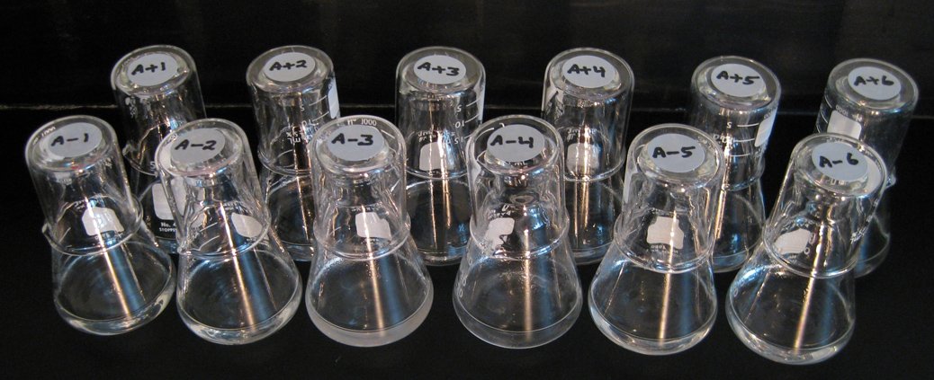 The Speed of Bacterial Evolution (image credits: wikimedia)