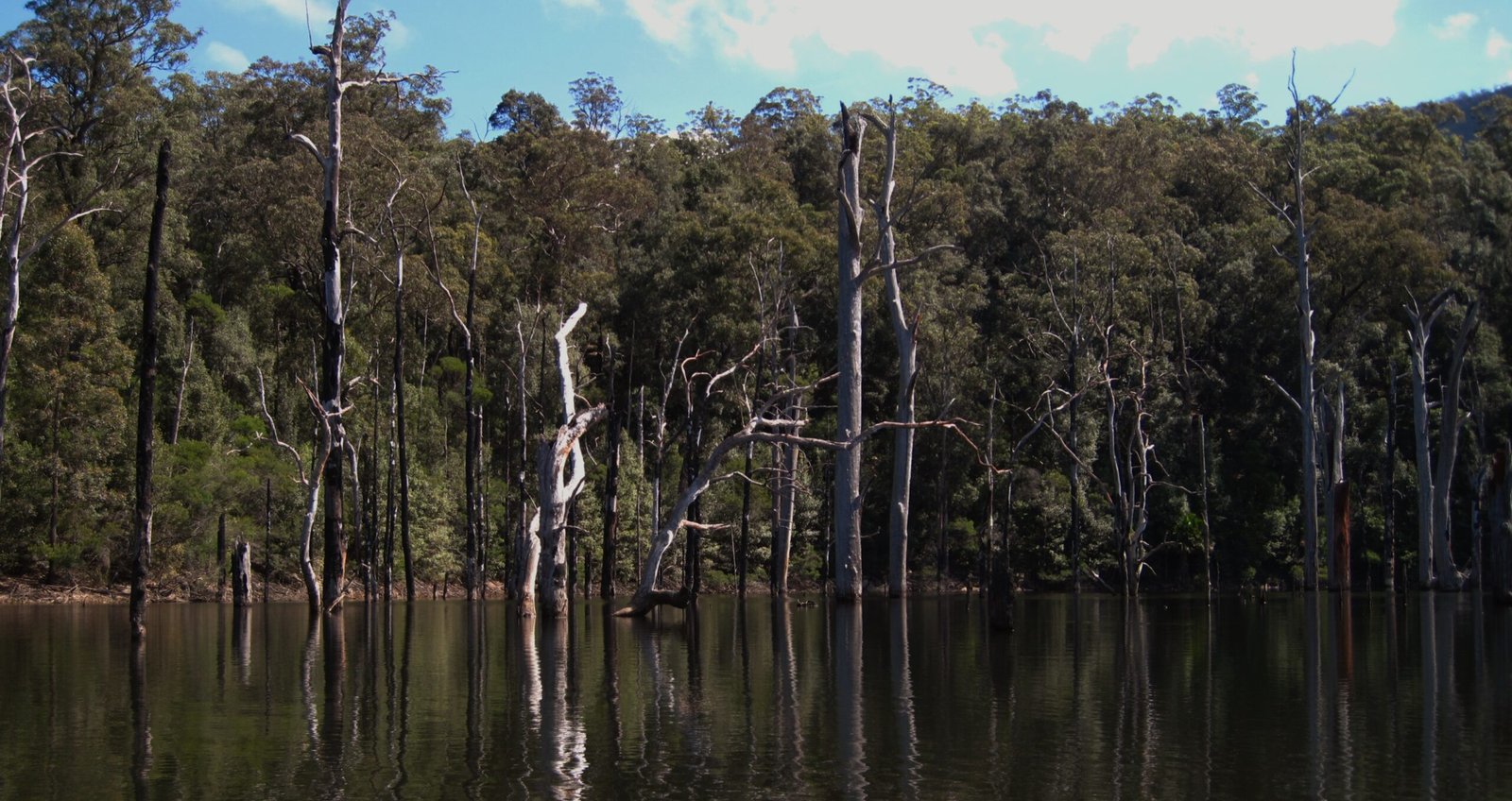 Personal Stories From the Field (image credits: wikimedia)