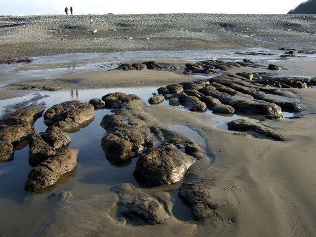 Looking Ahead: Living With the Lessons of the Past (image credits: wikimedia)