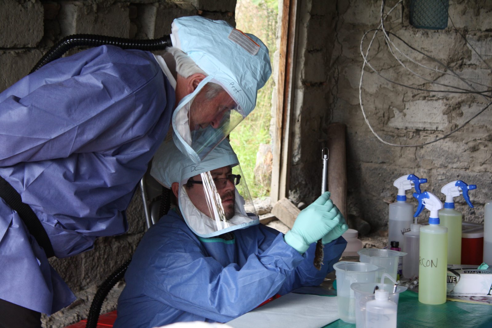 The Relentless Quest for Patient Zero (image credits: wikimedia)