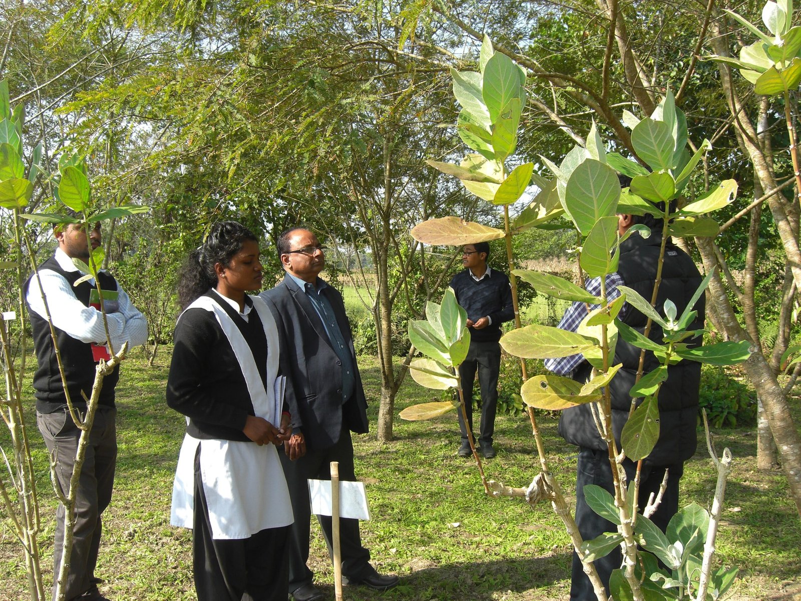 Preserved Flavors: A Sensory Link to the Past (image credits: wikimedia)