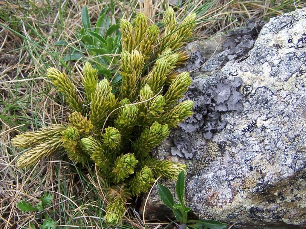 Unexpected Lessons for Today’s World (image credits: wikimedia)