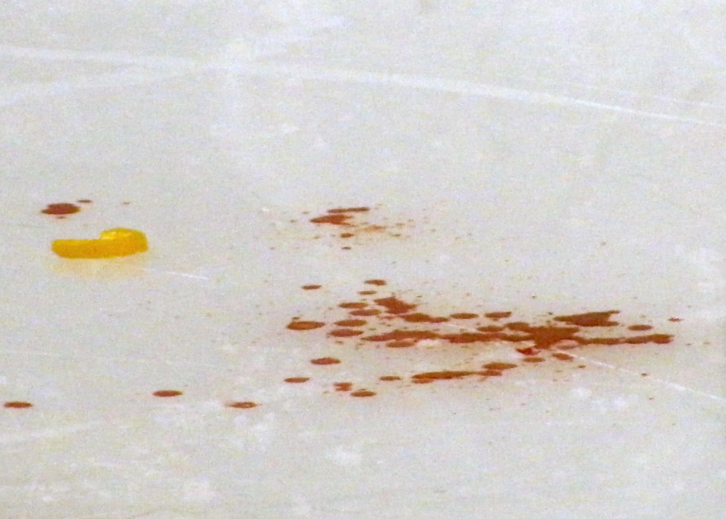 Unique Biochemistry: Antifreeze in the Blood? (image credits: wikimedia)