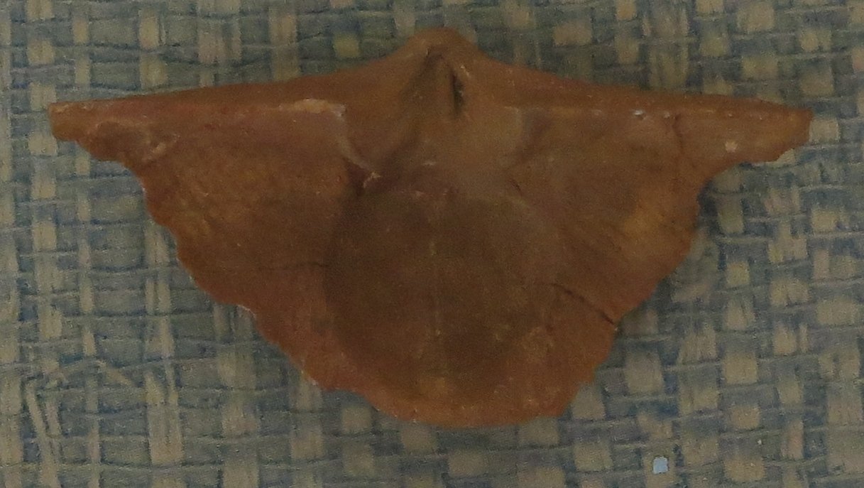 Revealing the Sahara’s Drowned Past (image credits: wikimedia)