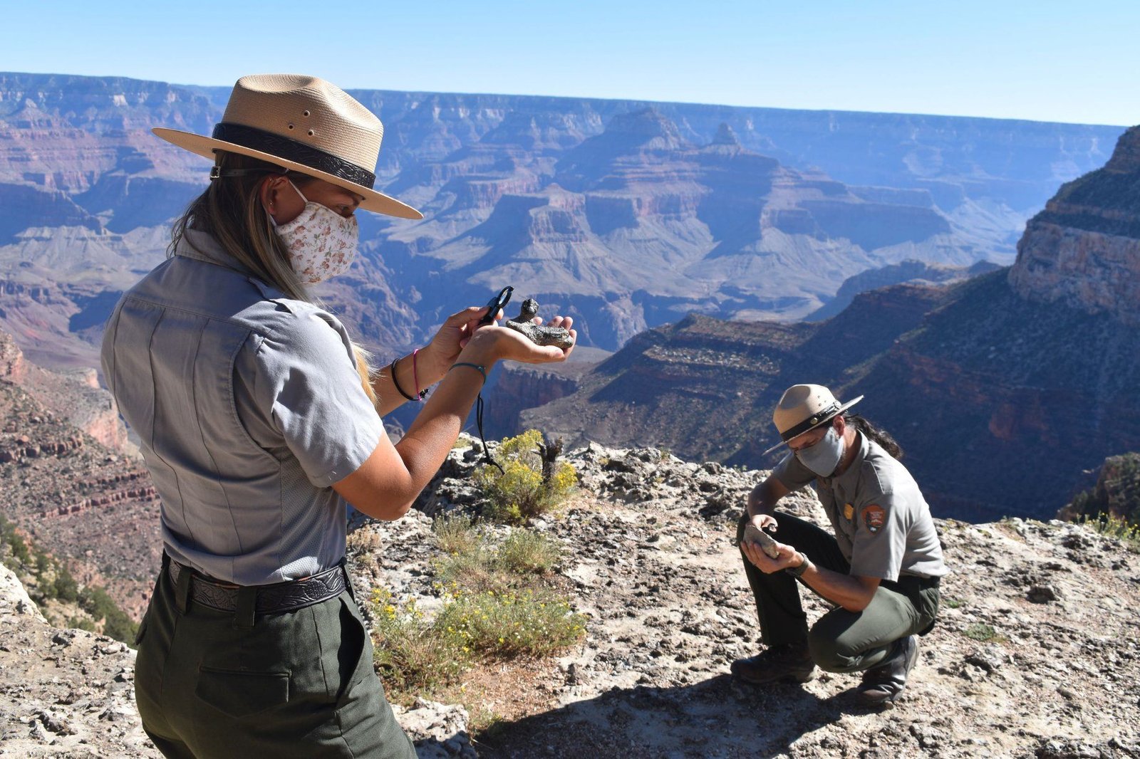 The Role of Technology in Fossil Discovery (image credits: wikimedia)