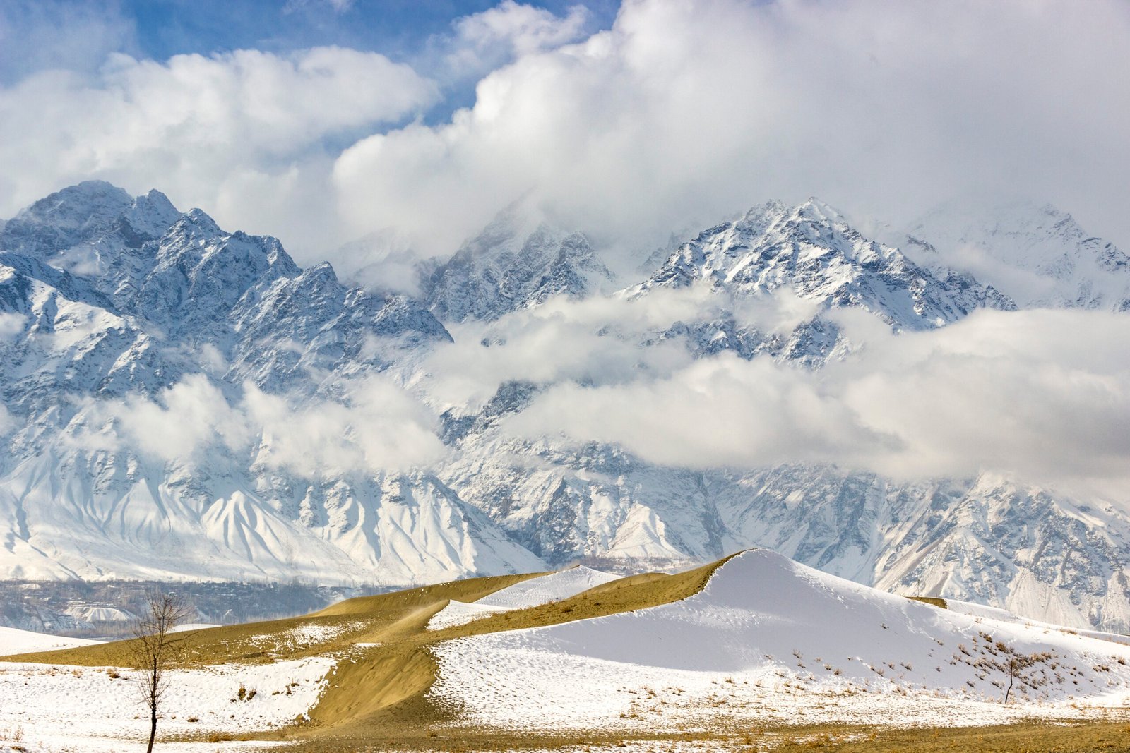 Cold Desert Landscapes: Beauty in the Barren (image credits: wikimedia)