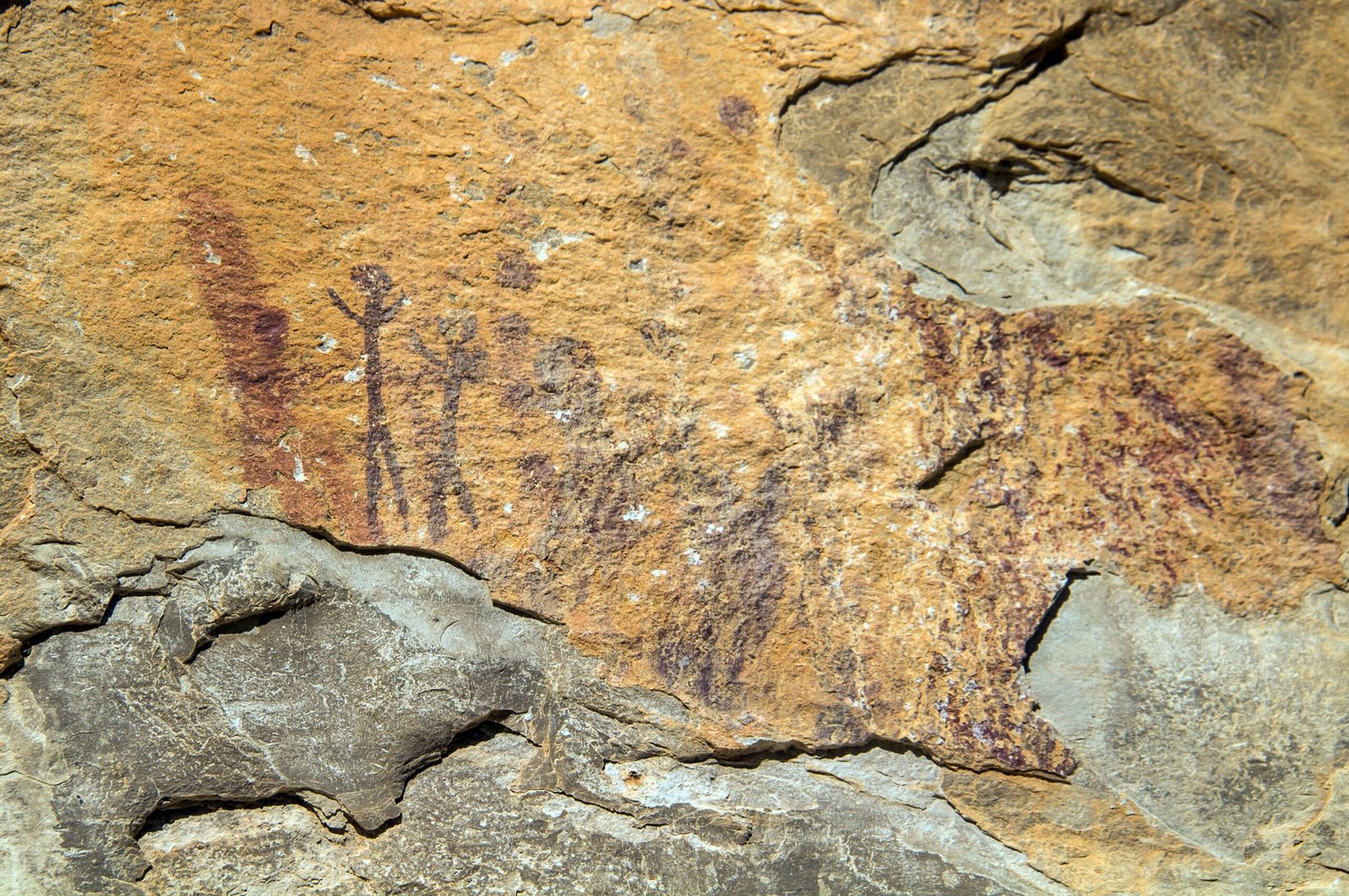 Did Art Influence Survival? (image credits: wikimedia)